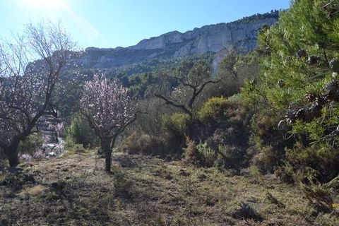 Helårsgrund i Benimantell, Alicante, Benimantell - € 121.000 | Ref: 6357 - foto 11