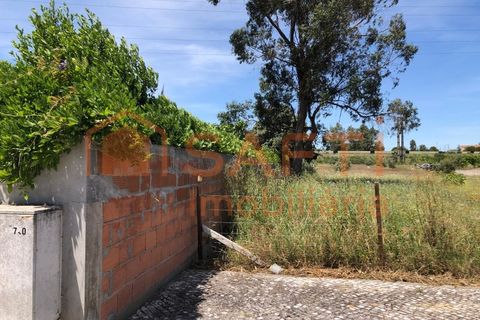 Helårsgrund i Entroncamento, Santarem, Entroncamento - € 130.000 | Ref: SAFTI:005197 - foto 5