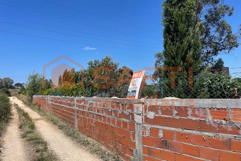Helårsgrund i Entroncamento, Santarem, Entroncamento - € 170.000 | Ref: SAFTI:005174 - foto 33