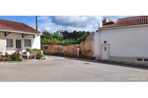 Terra a Parceiros e Azoia, Leiria, Parceiros e Azoia - € 68.000 | Ref: SAFTI:005346 - foto 2