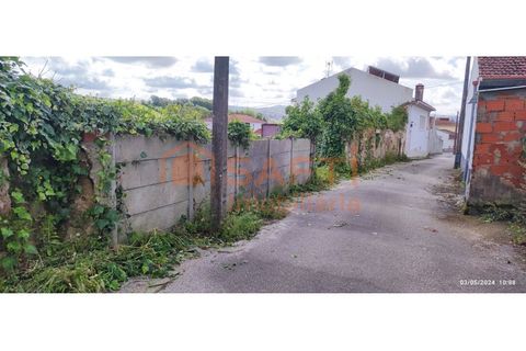 Terra a Parceiros e Azoia, Leiria, Parceiros e Azoia - € 68.000 | Ref: SAFTI:005346 - foto 3