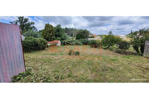 Terra a Parceiros e Azoia, Leiria, Parceiros e Azoia - € 68.000 | Ref: SAFTI:005346 - foto 4