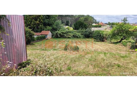 Terra a Parceiros e Azoia, Leiria, Parceiros e Azoia - € 68.000 | Ref: SAFTI:005346 - foto 5