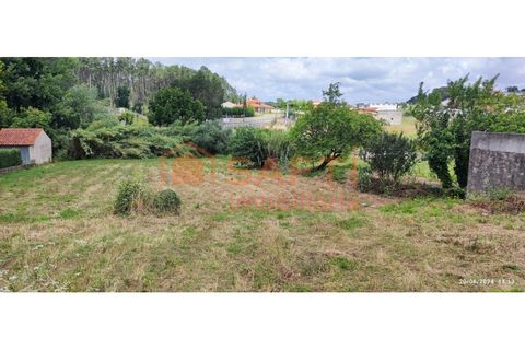 Terra a Parceiros e Azoia, Leiria, Parceiros e Azoia - € 68.000 | Ref: SAFTI:005346 - foto 6