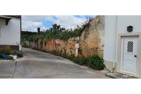 Terra a Parceiros e Azoia, Leiria, Parceiros e Azoia - € 68.000 | Ref: SAFTI:005346 - foto 7