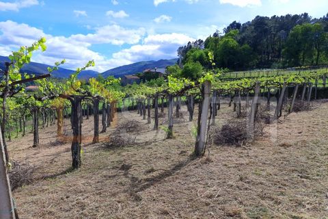 Villa i Melgaco, Viana do Castelo, Melgaco - € 395.000 | Ref: SAFTI:001091 - foto 16