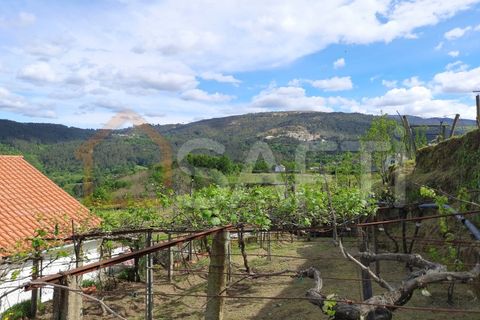 Villa i Melgaco, Viana do Castelo, Melgaco - € 395.000 | Ref: SAFTI:001091 - foto 17
