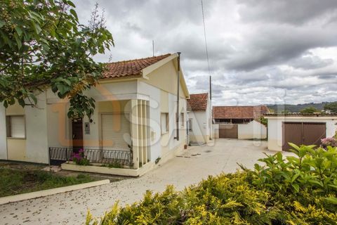 Bungalou a Parceiros e Azoia, Leiria, Parceiros e Azoia - € 300.000 | Ref: SAFTI:005149 - foto 3