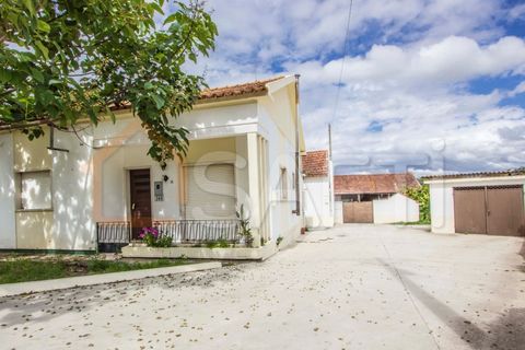 Bungalou a Parceiros e Azoia, Leiria, Parceiros e Azoia - € 300.000 | Ref: SAFTI:005149 - foto 6