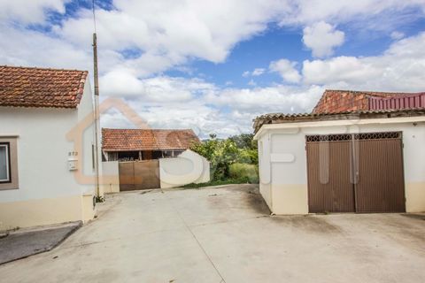 Bungalou a Parceiros e Azoia, Leiria, Parceiros e Azoia - € 300.000 | Ref: SAFTI:005149 - foto 7
