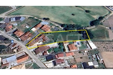 Bungalou a Parceiros e Azoia, Leiria, Parceiros e Azoia - € 300.000 | Ref: SAFTI:005149 - foto 8