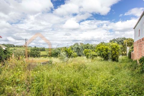 Bungalou a Parceiros e Azoia, Leiria, Parceiros e Azoia - € 300.000 | Ref: SAFTI:005149 - foto 10