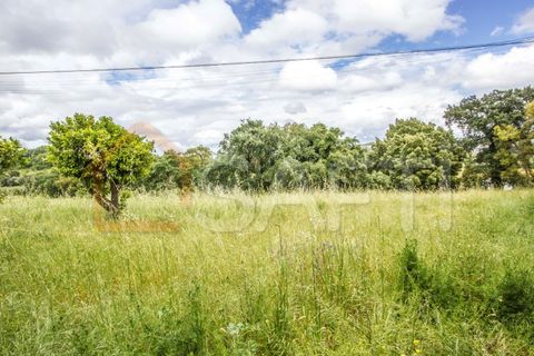 Bungalou a Parceiros e Azoia, Leiria, Parceiros e Azoia - € 300.000 | Ref: SAFTI:005149 - foto 12