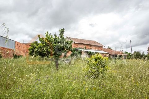 Bungalou a Parceiros e Azoia, Leiria, Parceiros e Azoia - € 300.000 | Ref: SAFTI:005149 - foto 13
