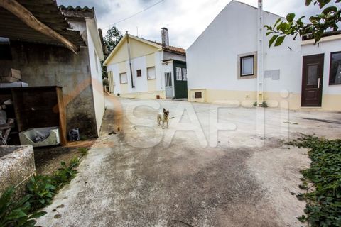 Bungalou a Parceiros e Azoia, Leiria, Parceiros e Azoia - € 300.000 | Ref: SAFTI:005149 - foto 14