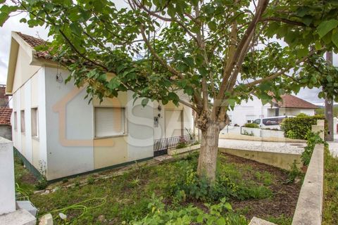 Bungalou a Parceiros e Azoia, Leiria, Parceiros e Azoia - € 300.000 | Ref: SAFTI:005149 - foto 17