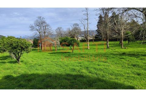 Villa i Viana do Castelo, Viana do Castelo, Viana do Castelo - € 850.000 | Ref: SAFTI:007268 - foto 15