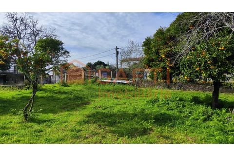 Villa i Viana do Castelo, Viana do Castelo, Viana do Castelo - € 850.000 | Ref: SAFTI:007268 - foto 12