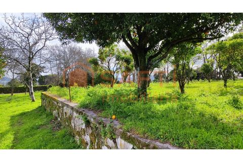 Villa i Viana do Castelo, Viana do Castelo, Viana do Castelo - € 850.000 | Ref: SAFTI:007268 - foto 11