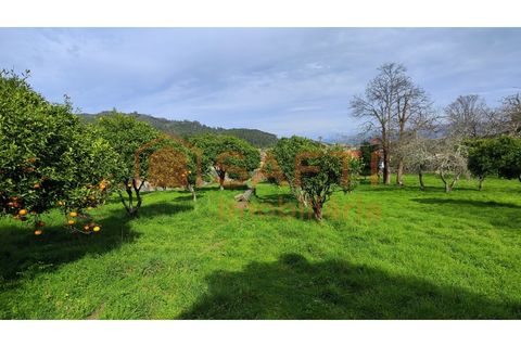 Villa i Viana do Castelo, Viana do Castelo, Viana do Castelo - € 850.000 | Ref: SAFTI:007268 - foto 17