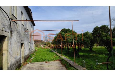 Villa i Viana do Castelo, Viana do Castelo, Viana do Castelo - € 850.000 | Ref: SAFTI:007268 - foto 22