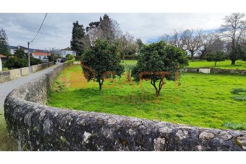Villa i Viana do Castelo, Viana do Castelo, Viana do Castelo - € 850.000 | Ref: SAFTI:007268 - foto 5