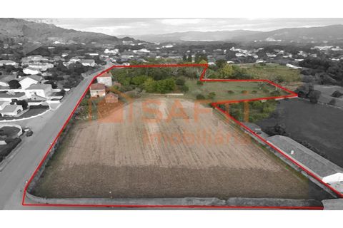 Villa i Viana do Castelo, Viana do Castelo, Viana do Castelo - € 850.000 | Ref: SAFTI:007268 - foto 3
