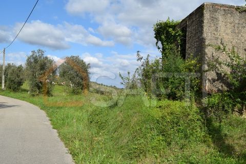 Helårsgrund i Coimbra, Coimbra, Coimbra - € 85.000 | Ref: SAFTI:004884 - foto 2