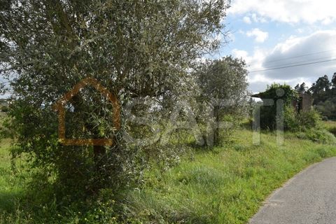 Helårsgrund i Coimbra, Coimbra, Coimbra - € 85.000 | Ref: SAFTI:004884 - foto 3