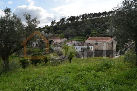 Helårsgrund i Coimbra, Coimbra, Coimbra - € 85.000 | Ref: SAFTI:004884 - foto 7