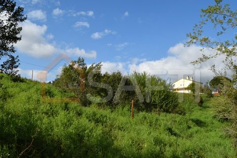 Helårsgrund i Coimbra, Coimbra, Coimbra - € 85.000 | Ref: SAFTI:004884 - foto 11