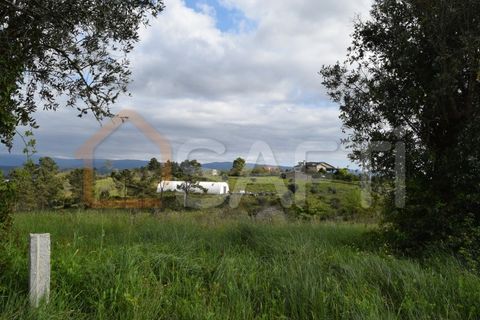 Helårsgrund i Coimbra, Coimbra, Coimbra - € 85.000 | Ref: SAFTI:004884 - foto 13