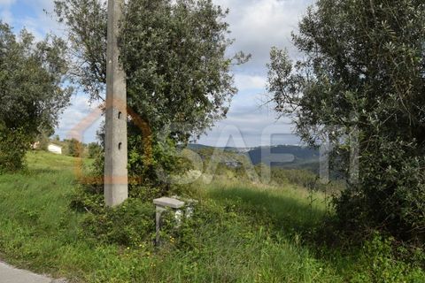 Helårsgrund i Coimbra, Coimbra, Coimbra - € 85.000 | Ref: SAFTI:004884 - foto 14