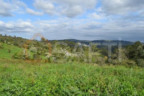 Helårsgrund i Coimbra, Coimbra, Coimbra - € 85.000 | Ref: SAFTI:004884 - foto 15