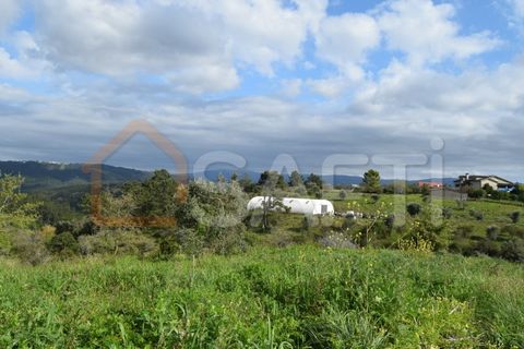 Helårsgrund i Coimbra, Coimbra, Coimbra - € 85.000 | Ref: SAFTI:004884 - foto 16