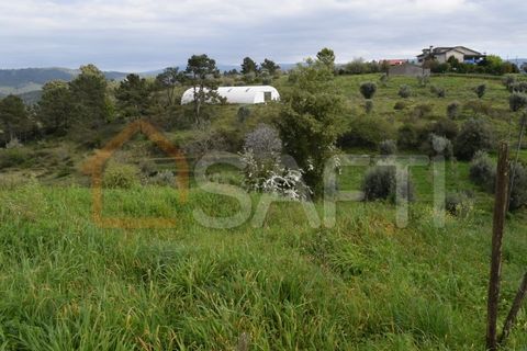 Helårsgrund i Coimbra, Coimbra, Coimbra - € 85.000 | Ref: SAFTI:004884 - foto 17