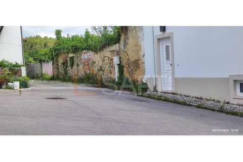 Helårsgrund i Parceiros e Azoia, Leiria, Parceiros e Azoia - € 68.000 | Ref: SAFTI:005182 - foto 11