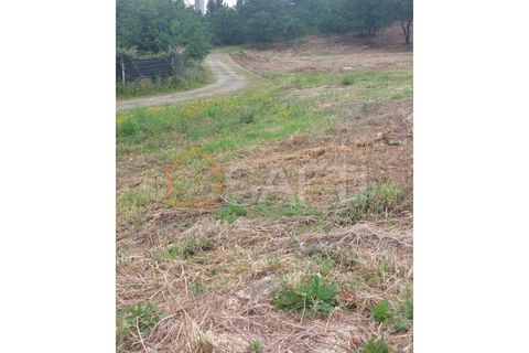 Helårsgrund i Regilde, Porto, Regilde - € 175.000 | Ref: SAFTI:005187 - foto 11