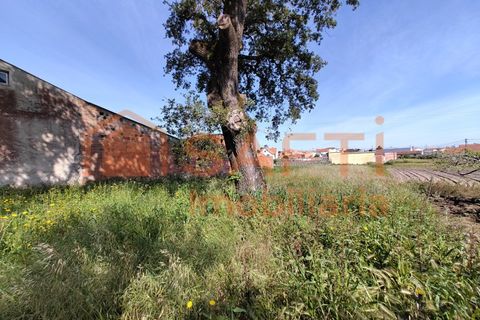 Helårsgrund i Leiria, Leiria, Leiria - € 50.000 | Ref: SAFTI:007297 - foto 5