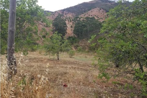 Helårsgrund i Alte, Faro, Alte - € 25.000 | Ref: 338240080 - foto 6