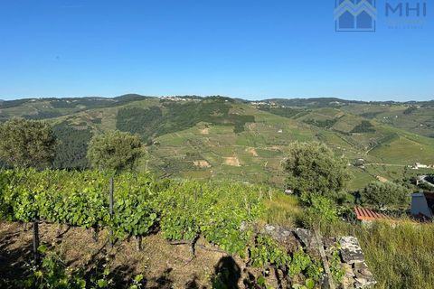 Granja a Vila Real, Vila Real, Vila Real - € 175.000 | Ref: MHI276 - foto 3