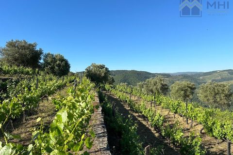 Granja a Vila Real, Vila Real, Vila Real - € 175.000 | Ref: MHI276 - foto 4