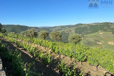 Granja a Vila Real, Vila Real, Vila Real - € 175.000 | Ref: MHI276 - foto 5