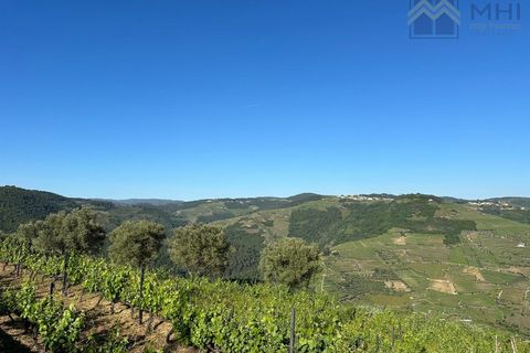 Granja a Vila Real, Vila Real, Vila Real - € 175.000 | Ref: MHI276 - foto 9