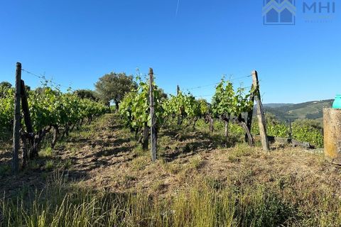 Granja a Vila Real, Vila Real, Vila Real - € 175.000 | Ref: MHI276 - foto 13