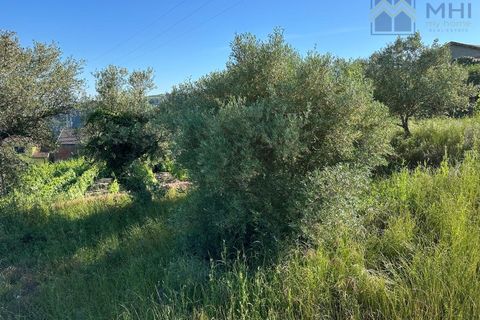 Granja a Vila Real, Vila Real, Vila Real - € 175.000 | Ref: MHI276 - foto 14