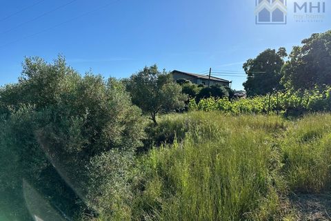 Granja a Vila Real, Vila Real, Vila Real - € 175.000 | Ref: MHI276 - foto 15