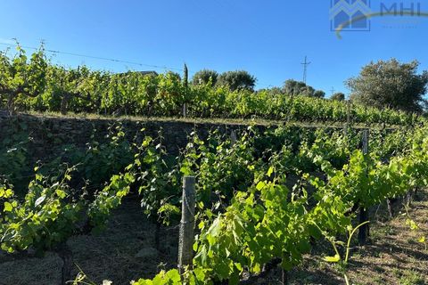Granja a Vila Real, Vila Real, Vila Real - € 175.000 | Ref: MHI276 - foto 18