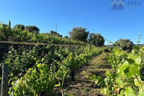 Granja a Vila Real, Vila Real, Vila Real - € 175.000 | Ref: MHI276 - foto 20