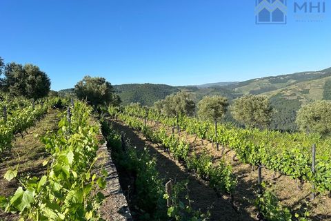 Granja a Vila Real, Vila Real, Vila Real - € 175.000 | Ref: MHI276 - foto 23
